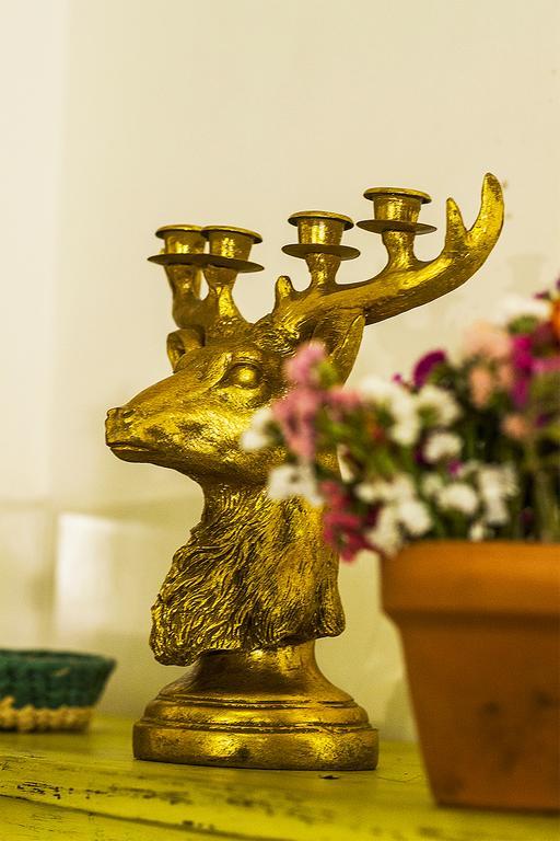 Gente De Mas Hostel Пуэбла Номер фото